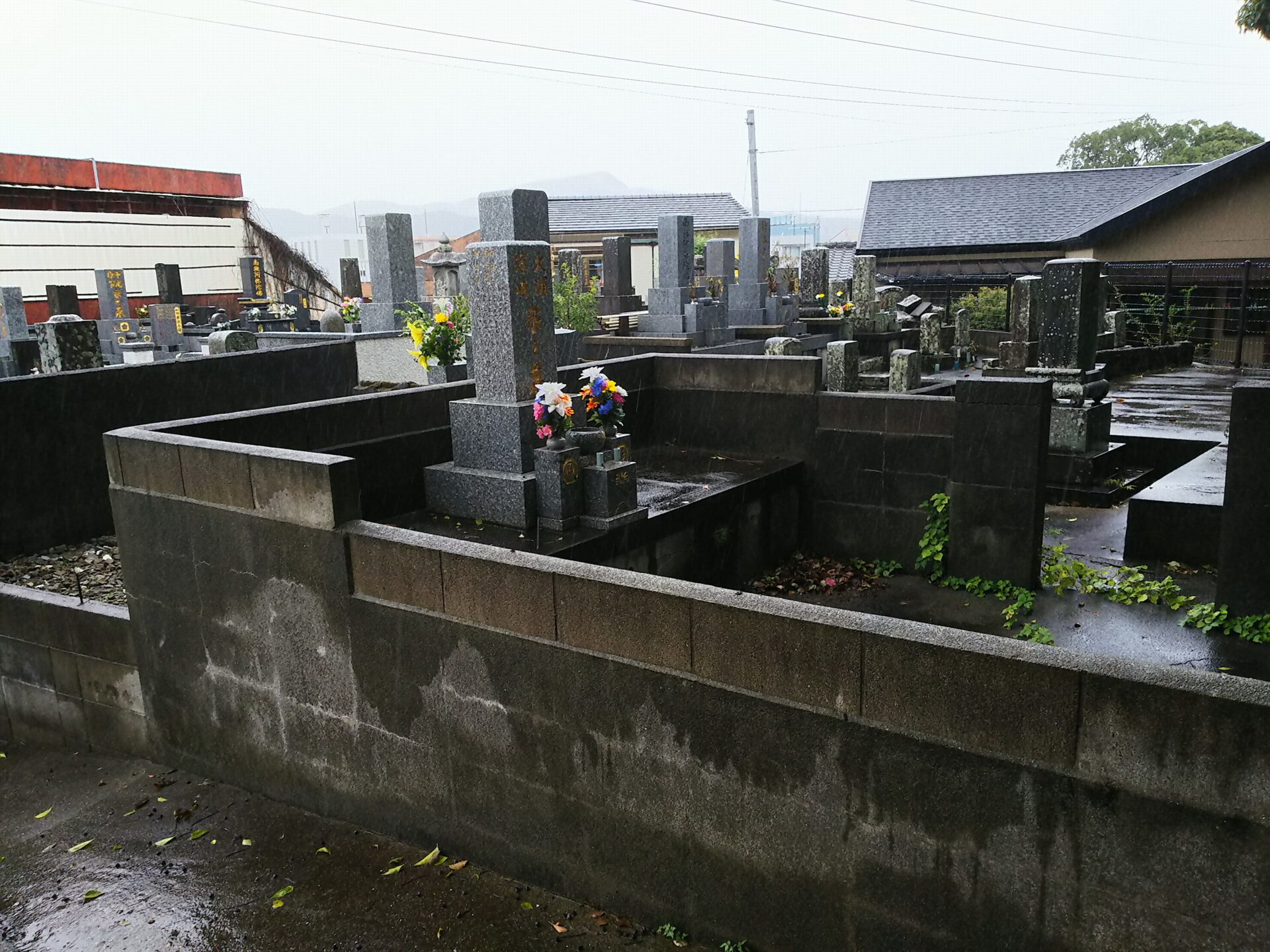 長崎市営　坂本国際墓地01